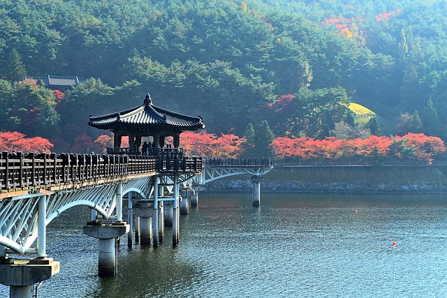 Nikko Toshogu shrine ornate carvings autumn forest sacred bridge