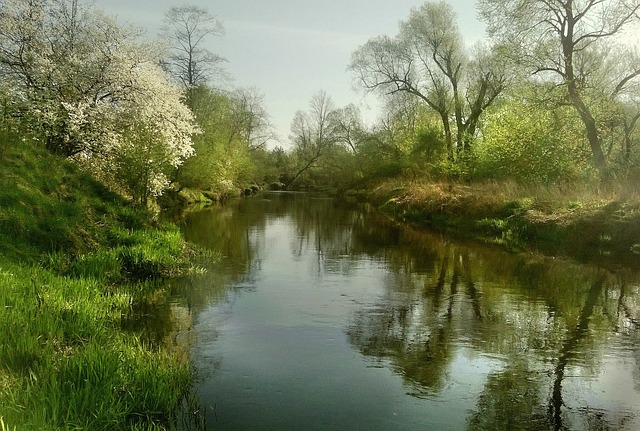 author portrait Sakura Hayashi