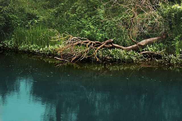 author portrait Kenji Mori